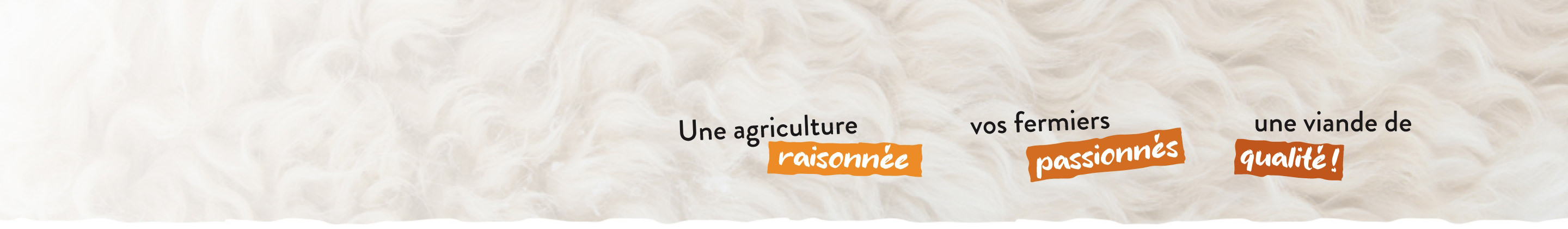 Kiosque des Fermes Audet & Moreau : bœuf, agneau, poulet et produits locaux