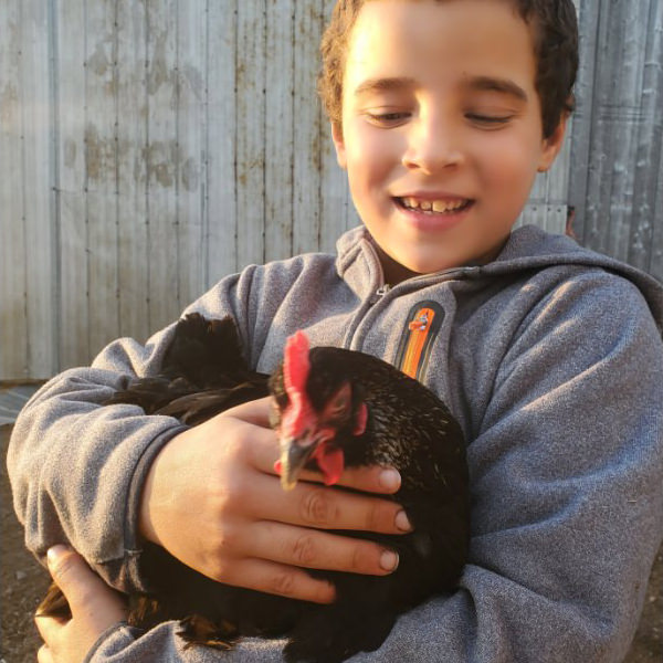 enfant_et_poule