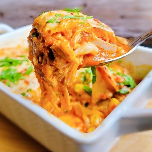 Chilaquiles (lasagne mexicaine) au poulet nourri au grain végétal